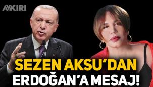 İktidar medyası yazdı: Sezen Aksu'dan Erdoğan'a mektup gitti