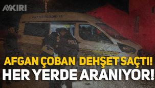 Konya'da Afgan çoban dehşeti! Her yerde aranıyor!