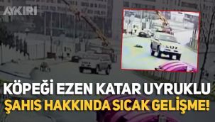 Köpeği ezen Katarlı Abdullah Hilal yeniden gözaltına alındı, tutuklandı