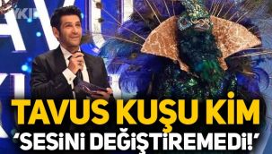 Maske Kimsin Sen'de Tavus Kuşu kim? Tavus Kuşu Emre Altuğ mu? Sosyal medyada gündem oldu