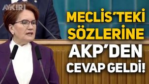 Meral Akşener'in