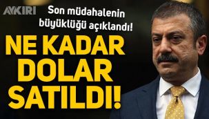 Merkez Bankası 5. müdahalede ne kadar dolar sattığını açıkladı