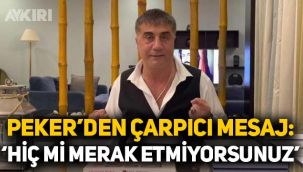 Sedat Peker'den dikkat çeken beğeni: Hiç mi merak etmiyorsunuz