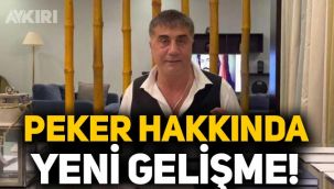 Sedat Peker hakkında yeni gelişme: Erkan Yıldırım iddialarına yakalama kararı
