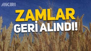 Toprak Mahsulleri Ofisi, hububat zamlarını geri aldı: Ekmek zamlanacaktı