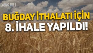 Toprak Mahsulleri Ofisi'nden 8. ihale: 335 bin ton buğday ithal edecek