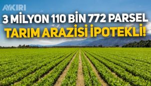 Bakanlık açıkladı: 3 milyon 110 bin 772 parsel tarım arazisi ipotekli!