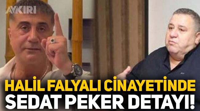 Halil Falyalı cinayetinde Sedat Peker ayrıntısı! Telefonda görüşmüş