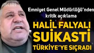 Halil Falyalı cinayetinde sıcak gelişme, Türkiye'ye sıçradı, gözaltılar başladı