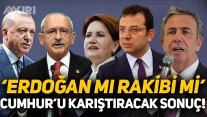 Metropoll'den