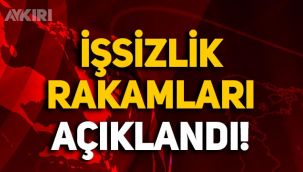 TÜİK'e göre işsizlik rakamları açıklandı, dikkat çeken veriler!
