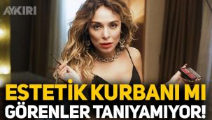 Ziynet Sali'yi görenler tanıyamıyor! Son hali dikkat çeken Ziynet Sali estetik mi yaptırdı