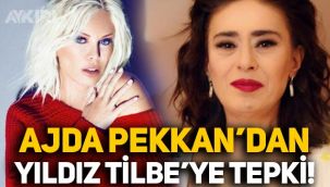 Ajda Pekkan'dan Yıldız Tilbe'ye sokak köpekleri tepkisi