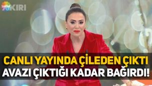 Didem Arslan Yılmaz, canlı yayında isyan etti: Emniyet'e seslendi, avazı çıktığı kadar bağırdı