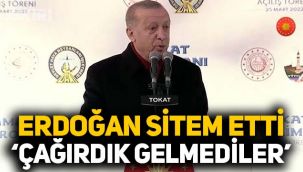 Erdoğan muhalefete sitem etti: Çağırdık gelmediler