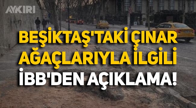 İBB Sözcüsü Murat Ongun'dan Beşiktaş'taki çınar ağaçları hakkında açıklama