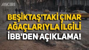 İBB Sözcüsü Murat Ongun'dan Beşiktaş'taki çınar ağaçları hakkında açıklama