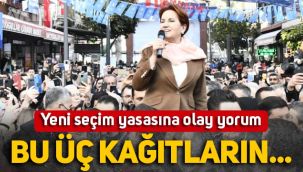 Meral Akşener'den yeni seçim yasasına olay yorum: