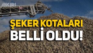 Şekerde kotalar belli oldu, Resmi Gazete'de yayımlandı