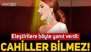 Seren Serengil eleştirenlere böyle yanıt verdi: