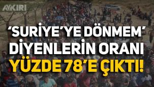 Araştırma sonucu açıklandı: