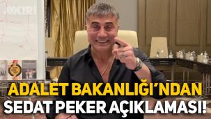 Bekir Bozdağ'dan Sedat Peker açıklaması: İade edilecek mi?