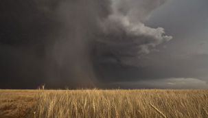 Bu illerde yaşayanlar dikkat: Meteoroloji'den 90 kilometre hıza çıkacak fırtına uyarısı