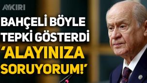 Devlet Bahçeli'den anket tepkisi: Alayınıza soruyorum