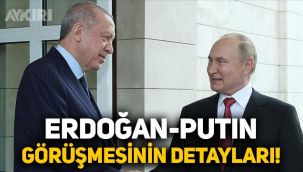 Erdoğan ve Putin telefonda görüştü, detayları açıklandı