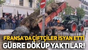 Fransa'da çiftçiler hükümet binalarının önüne gübre döktü, ateşe verdi