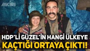 HDP'li Semra Güzel'in hangi ülkeye kaçtığı ortaya çıktı
