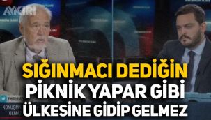 İlber Ortaylı'dan Suriyeli çıkışı: Sığınmacı dediğin piknik yapar gibi sınırın öbür tarafına gidip gelmez