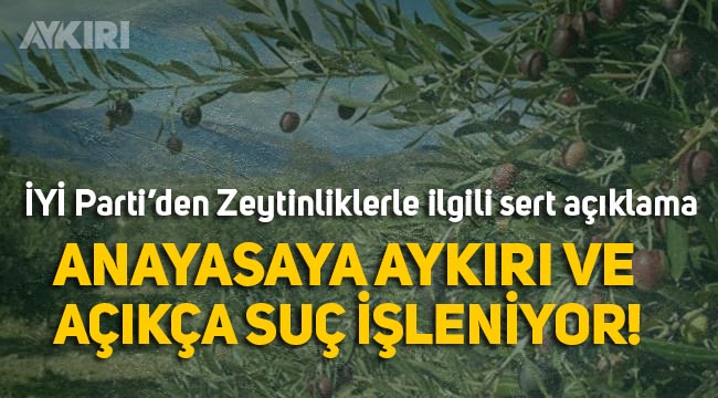 İYİ Partili Metin Ergun'dan zeytinlik tepkisi: "Anayasaya aykırı ve açık bir suç"