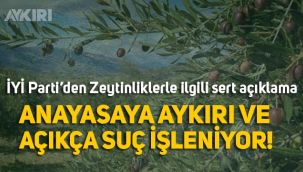 İYİ Partili Metin Ergun'dan zeytinlik tepkisi: 