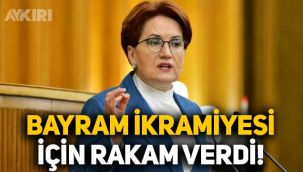 Meral Akşener'den 'bayram ikramiyesi' çıkışı: Rakam verdi