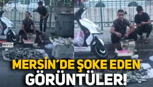 Mersin'de çekilen görüntüler dikkat çekti, çöpün önünde balık satıyorlar