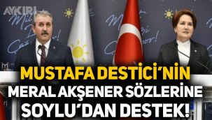 Mustafa Destici'nin Meral Akşener sözlerine Süleyman Soylu'dan destek geldi