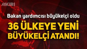 Resmi Gazete'de yayımlandı: 36 ülkeye yeni büyükelçiler atandı, bakan yardımcısı büyükelçi oldu