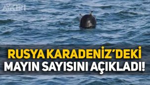 Rusya, Karadeniz'deki mayın sayısını açıkladı
