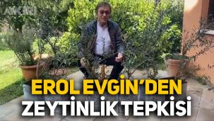 Sanatçı Erol Evgin'den tepki: