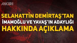 Selahattin Demirtaş'tan Mansur Yavaş'ın adaylığına ilişkin açıklama