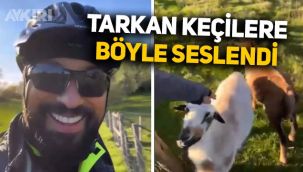 Tarkan'ın