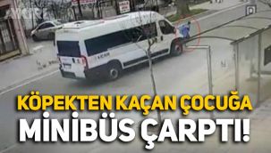 Tekirdağ'da köpeklerden kaçan küçük çocuğa minibüs çarptı