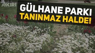Bayramda ziyaretçi rekoruna koşan Gülhane Parkı tanınmaz hale geldi, zarar yüz binlerce lira!