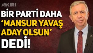 Bir parti daha