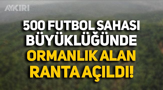 Erdoğan imzaladı, 500 futbol sahası genişliğinde alan orman sınırları dışına çıkarıldı.