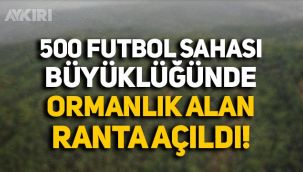 Erdoğan imzaladı, 500 futbol sahası genişliğinde alan orman sınırları dışına çıkarıldı.