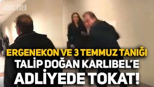 Fenerbahçe taraftarından Ergenekon ve 3 Temmuz tanığı Talip Doğan Karlıbel'e adliyede tokat!