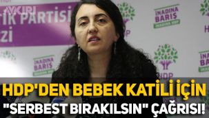 HDP'den skandal açıklama: Bebek katili Öcalan için 