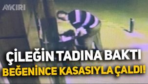 İstanbul'da yaşandı: Çileğin tadına baktı, beğenince kasasıyla birlikte çaldı